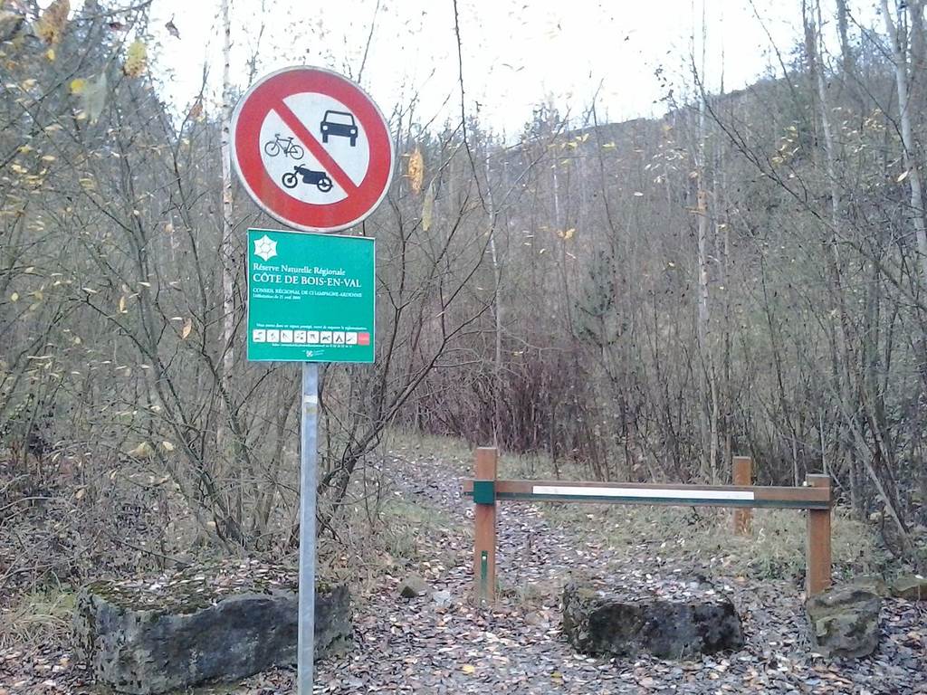 Réserve Naturelle de Boisenval